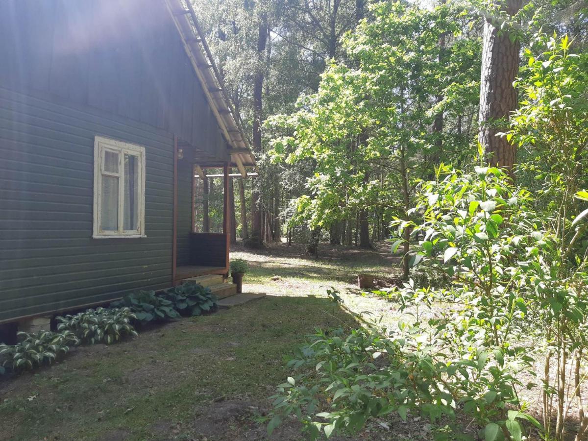 Asmonu Poilsiaviete Villa Kinty Екстериор снимка